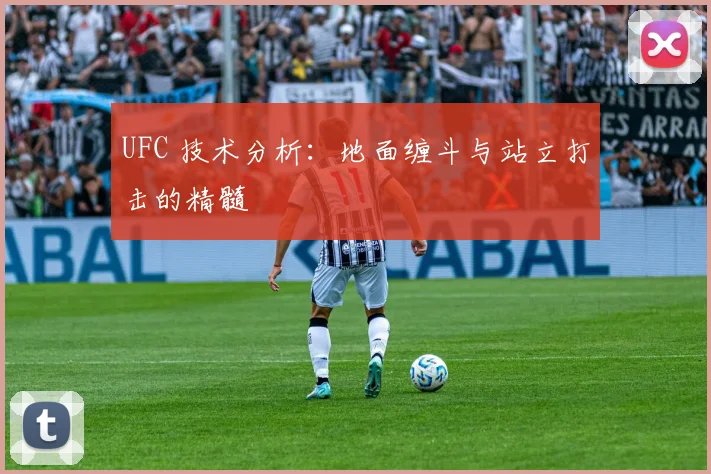 UFC 技术分析:地面缠斗与站立打击的精髓