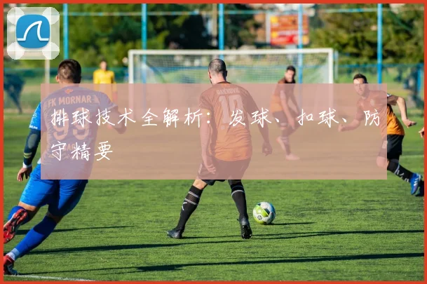 排球技术全解析：发球、扣球、防守精要
