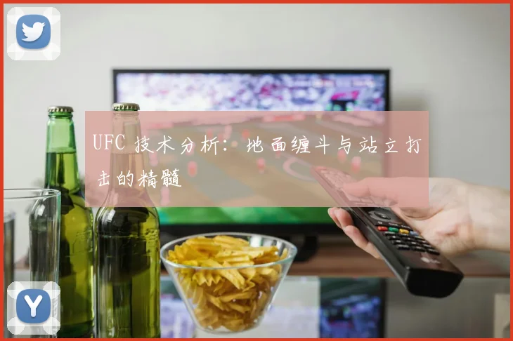 UFC 技术分析：地面缠斗与站立打击的精髓