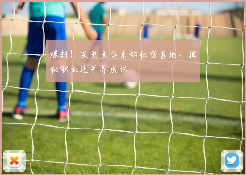 爆料!某电竞俱乐部秘密基地,揭秘职业选手养成记