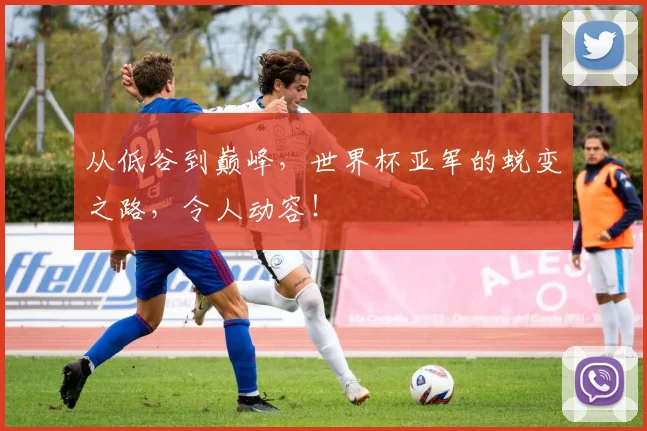 从低谷到巅峰，世界杯亚军的蜕变之路，令人动容！